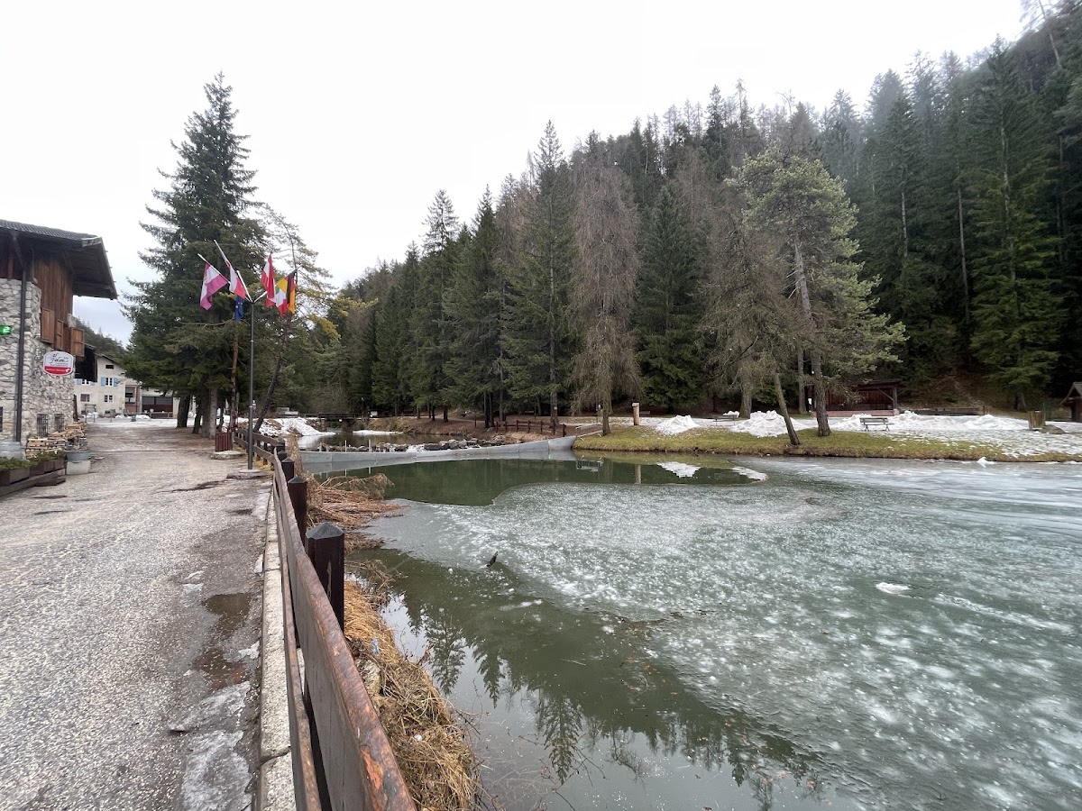 Ristorante Pizzeria Folon-4